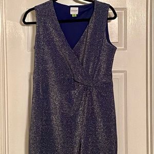 Aldi Serra navy blue sparkly dress